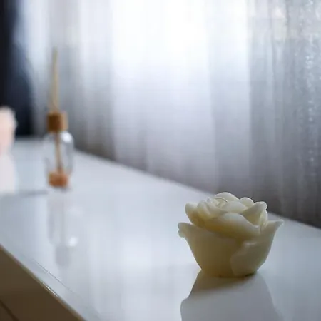 T2 Cosy Entre Calme Et Proximite