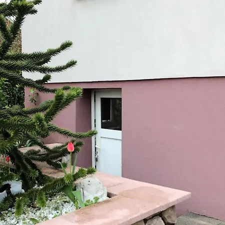 Apartment T2 Cosy Entre Calme Et Proximite Lingolsheim